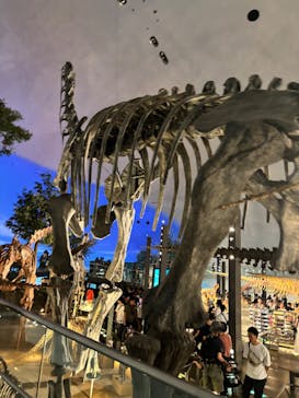 福井県立恐竜博物館に投稿された画像（2025/7/21）