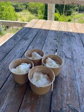 神戸市立六甲山牧場に投稿された画像（2025/7/21）