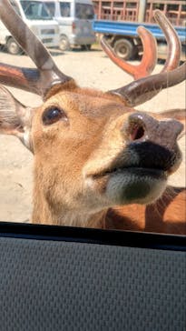 東北サファリパークに投稿された画像（2025/7/21）