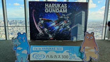 ハルカス300(展望台)に投稿された画像（2025/7/21）