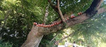 勝尾寺に投稿された画像（2025/7/21）