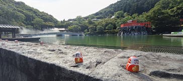 勝尾寺に投稿された画像（2025/7/21）