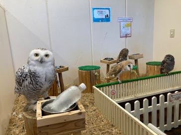 アニタッチみなとみらいに投稿された画像（2025/7/21）