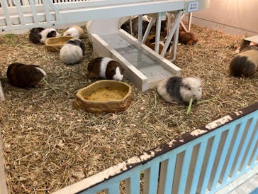 アニタッチみなとみらいに投稿された画像（2025/7/21）