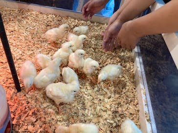 アニタッチみなとみらいに投稿された画像（2025/7/21）