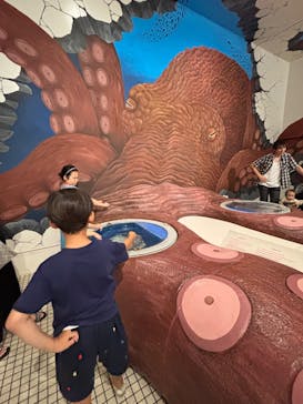 越前松島水族館に投稿された画像（2025/7/21）