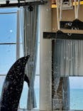 アクアワールド茨城県大洗水族館に投稿された画像（2025/7/21）
