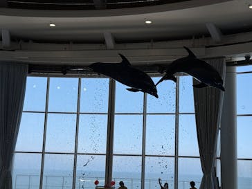 アクアワールド茨城県大洗水族館に投稿された画像（2025/7/21）