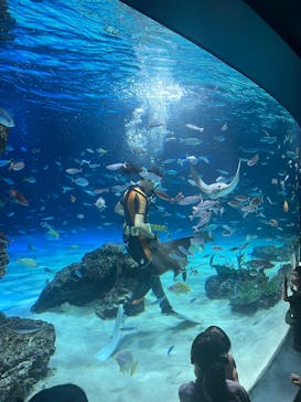 サンシャイン水族館に投稿された画像（2025/7/21）