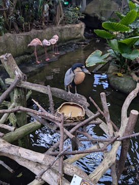 那須どうぶつ王国に投稿された画像（2025/7/21）