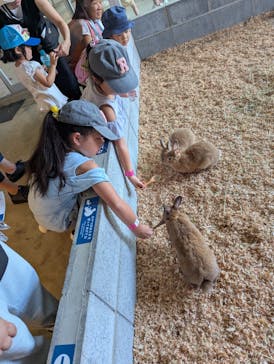 霞ケ浦 どうぶつとみんなのいえに投稿された画像（2025/7/21）