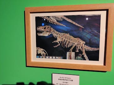 プレバト才能アリ展に投稿された画像（2025/7/21）