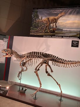 福井県立恐竜博物館に投稿された画像（2025/7/21）