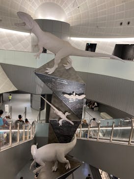 福井県立恐竜博物館に投稿された画像（2025/7/21）