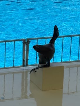 マリンワールド海の中道に投稿された画像（2025/7/21）