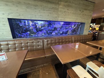 上越市立水族博物館 うみがたりに投稿された画像（2025/7/21）