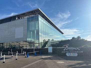 上越市立水族博物館 うみがたりに投稿された画像（2025/7/21）
