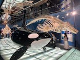 名古屋港水族館に投稿された画像（2025/7/21）