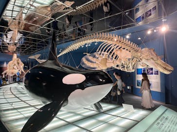 名古屋港水族館に投稿された画像（2025/7/21）