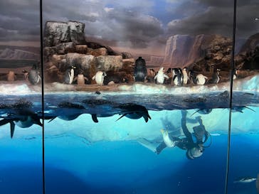 名古屋港水族館に投稿された画像（2025/7/21）