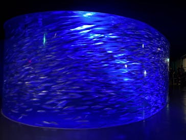 登別マリンパークニクスに投稿された画像（2025/7/21）