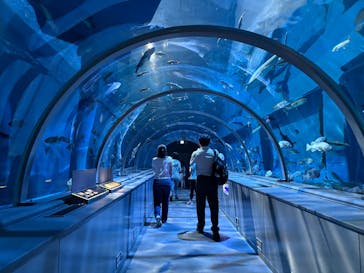 登別マリンパークニクスに投稿された画像（2025/7/21）