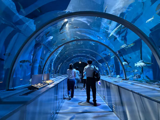 登別マリンパークニクスの口コミ ｜他の水族館では見られないイワシ