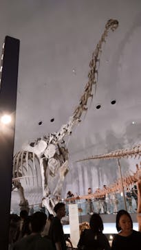 福井県立恐竜博物館に投稿された画像（2025/7/21）