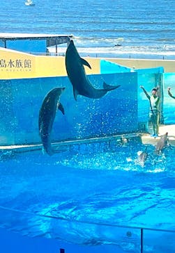 新江ノ島水族館に投稿された画像（2025/7/21）