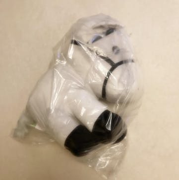 ノーザンホースパークに投稿された画像（2025/7/21）