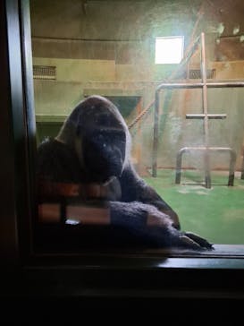 千葉市動物公園に投稿された画像（2025/7/21）