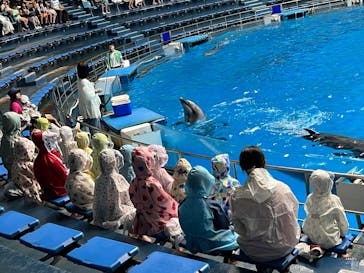 マクセル アクアパーク品川に投稿された画像（2025/7/21）