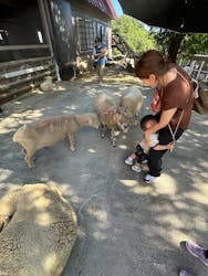 神戸市立六甲山牧場に投稿された画像（2025/7/21）