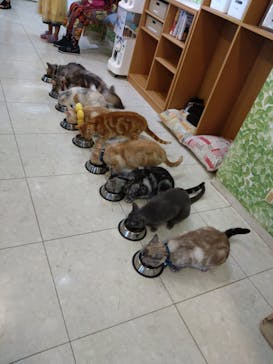 Moff animal world BIGHOPガーデンモール印西店に投稿された画像（2025/7/21）