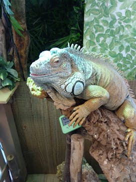 Moff animal world BIGHOPガーデンモール印西店に投稿された画像（2025/7/21）