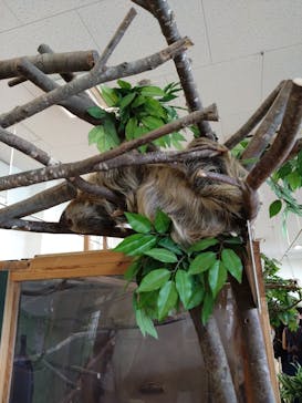 Moff animal world BIGHOPガーデンモール印西店に投稿された画像（2025/7/21）