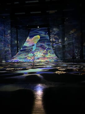 旅する光の切り絵展 ～くうそうって、まほうだよ～に投稿された画像（2025/7/21）