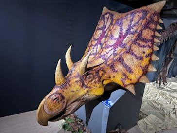 大恐竜展に投稿された画像（2025/7/21）
