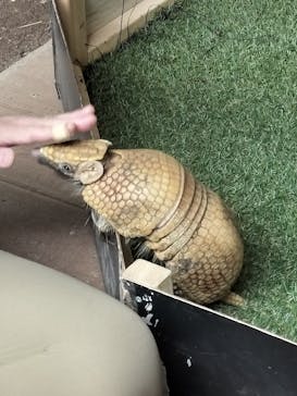 カワスイ 川崎⽔族館に投稿された画像（2025/7/21）