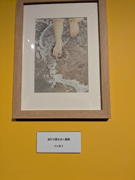 プレバト才能アリ展に投稿された画像（2025/7/21）