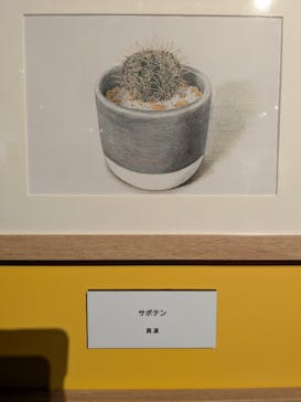 プレバト才能アリ展に投稿された画像（2025/7/21）