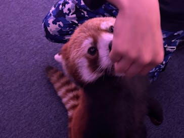 横浜・八景島シーパラダイスに投稿された画像（2025/7/21）