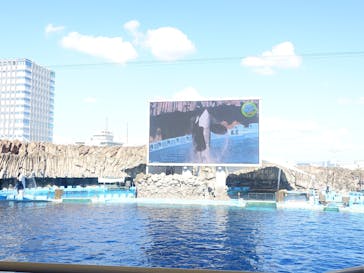 名古屋港水族館に投稿された画像（2025/7/21）