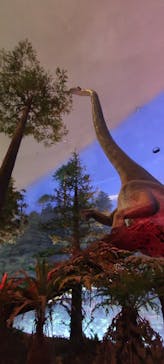 福井県立恐竜博物館に投稿された画像（2025/7/21）