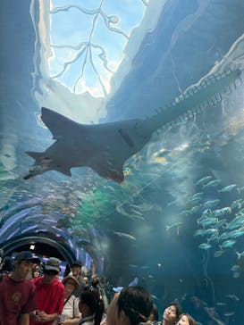 マクセル アクアパーク品川に投稿された画像（2025/7/21）