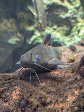 マリンワールド海の中道に投稿された画像（2025/7/21）