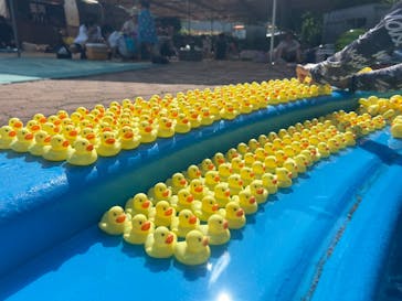 日本モンキーパークに投稿された画像（2025/7/21）