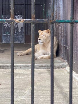 東北サファリパークに投稿された画像（2025/7/21）