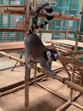 東北サファリパークに投稿された画像（2025/7/21）