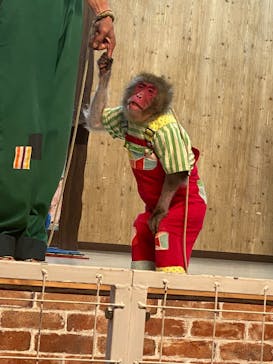 東北サファリパークに投稿された画像（2025/7/21）